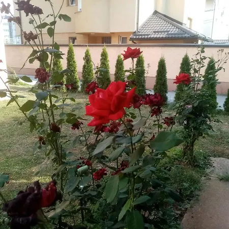 Apartment New Town Nedzarici